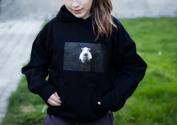 Mikina Ovce , galerie